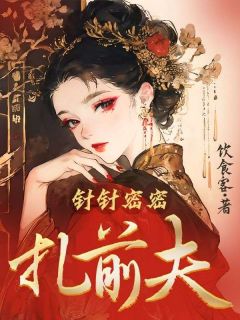 精品小说针针密密扎前夫全文目录畅读