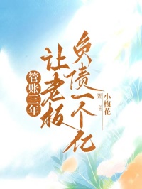管账三年，让老板负债一个亿小说(完结)-何岁岁张伟无删减阅读