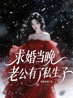 小说推荐求婚当晚，老公有了私生子完结版全章节阅读