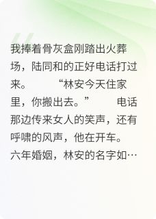 六年婚姻，全家死光林安陆清陆溪明免费全章节目录阅读
