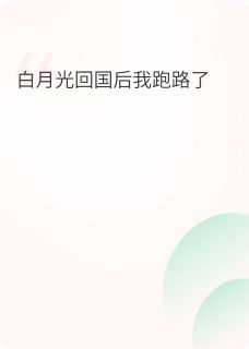 丈夫白月光回国后我跑路了林晚沈聿白小说全文章节阅读-暗夜阅读网