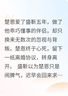离婚后他跪求我原谅小说免费版阅读抖音热文-暗夜阅读网