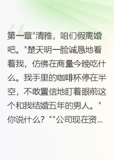 值得熬夜看完的假离婚变真分手，三千万我全带走小说阅读