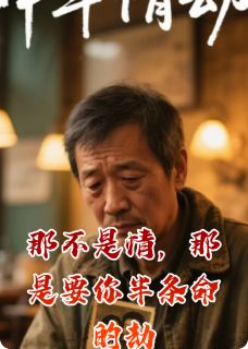 那不是情，那是要你半条命的劫陆沉舟苏晚免费全章节目录阅读-暗夜阅读网