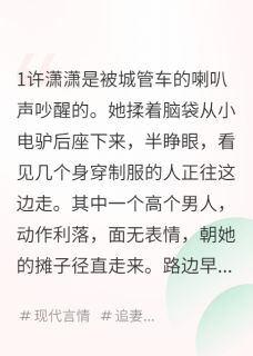 季屿许潇潇小说全文免费阅读分手后，前任成了城管来抓我全文免费阅读