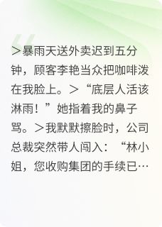 （全集-免费）暴雨总裁：外卖箱里的聘书完本小说_林小雨墨时渊王振邦全文免费阅读