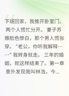 苏雅王磊(原文完整)老婆出轨后悔了，但我不稀罕无弹窗免费阅读