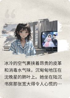 爆款热文陆沉沈晚星在线阅读-一辈子的悔恨全章节列表