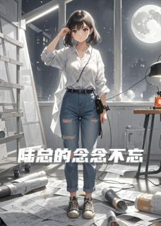 陆总的念念不忘（叶婉陆沉舟）精彩小说目录阅读