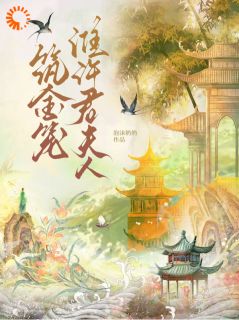 筑金笼：淮许君夫人免费阅读全文，主角宋梨陆绥小说完整版