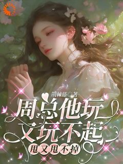 周总他玩又玩不起，甩又甩不掉快手热推付莱恩周青阁免费阅读-暗夜阅读网