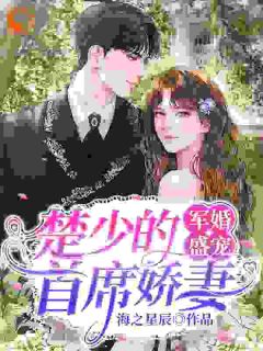 主角是沈凝萱楚皓轩的小说军婚盛宠：楚少的首席娇妻最完整版热门连载