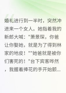 我的新郎，竟是杀父凶手的儿子小说的书名是什么