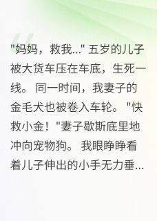 妻子救狗放弃儿子，三年后跳楼小说的书名是什么