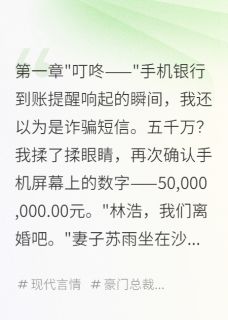 总裁隐婚，被分手费激怒江晓晓苏雨林浩最新章节在线阅读