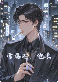 雪落时，他未归小说全集(沈砚陆时)无弹窗广告阅读