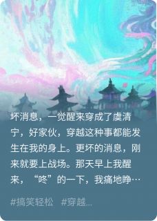 全章节小说凤归边城蛋壳头最新阅读