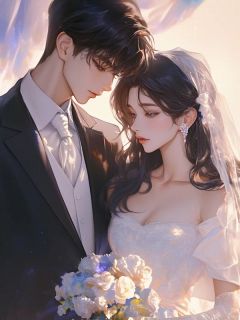 失忆丈夫逼我离婚后，悔疯了by歌巫免费阅读小说大结局-暗夜阅读网