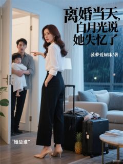 离婚当天，白月光说她失忆了小说(完结)-贺琛林溪白薇无删减阅读-暗夜阅读网