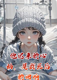 全本资源在线阅读他迟来的心动，是我死后的回响林晚沈聿白