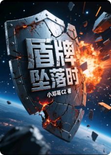 【新书】盾牌堕落时主角囡囡王磊张伟全文全章节小说阅读-暗夜阅读网