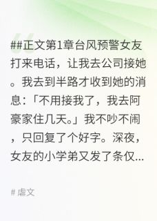 沈婉晴林豪是哪本小说主角 台风过后爱成空免费全章节阅读