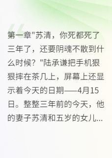 妻女死祭，渣夫陪白月光孩子庆生章节全目录 承谦苏清小星全文免费阅读
