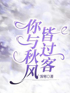 独家你与秋风皆过客小说-主角厉南风苏念全文免费阅读