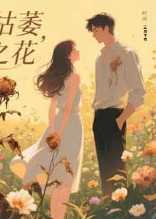 过期电影票与未拆的橘子糖陆则周砚全章节目录免费阅读