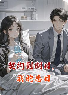 契约到期日，我的忌日小说(完结版)-陆沉舟苏晚在线阅读-暗夜阅读网