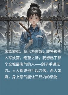 抖音热推小说断簪吟全文在线阅读