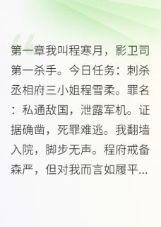 书荒必备影卫司第一杀手退休开客栈全文章节阅读