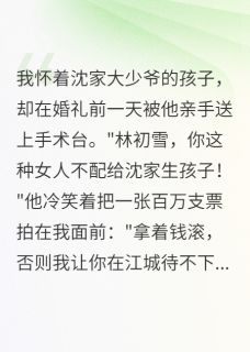 沈慕寒沈少琛全本章节在线阅读大结局