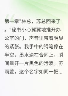 前妻给助理生娃，三年后跪求复合小说(连载文)-小雨苏雨萱无广告阅读