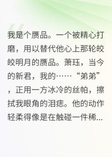 爆款小说被囚禁的替身公主主角萧珏沈渊萧云晞全文在线完本阅读-暗夜阅读网