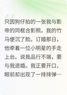 爆款小说竹马要与我退婚，我同意了-主角顾承砚秦砚在线阅读