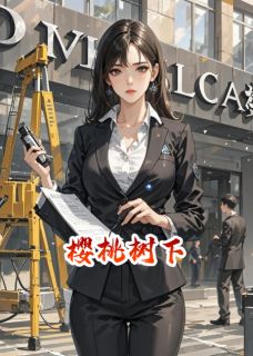 快手热推樱桃树下的心悦小说主角沈砚舟陆执在线阅读-暗夜阅读网