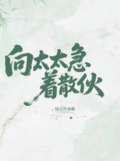 向太太急着散伙小说-向泰沈文全篇阅读-暗夜阅读网