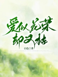 爱似花荣却又枯小说(完本)-沈凌玉何嘉辉无错版阅读