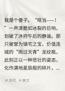 【别惹傻子，我哥真的会打断你的腿】主角(沐宸舟宴宴哥沐宸)在线阅读