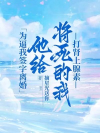 为逼我签字离婚，他给将死的我打肾上腺素在线全文阅读-主人公谢宁意路乔年小说-暗夜阅读网
