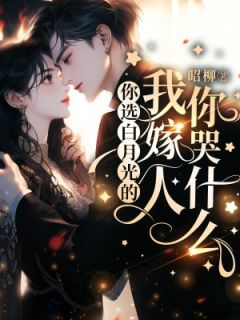 老书虫书荒推荐你选白月光的，我嫁人你哭什么txt小说阅读