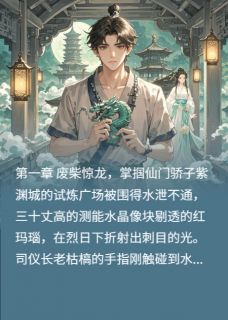 火爆瀚宇龙契谪仙心上月小说，主角是墨玄月瑶在线阅读全文无删减
