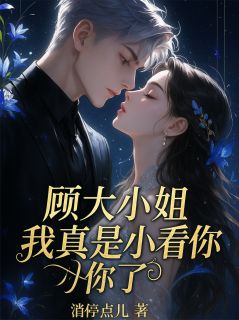 顾大小姐我真是小看你了顾梦蝶齐盛-小说txt全文阅读
