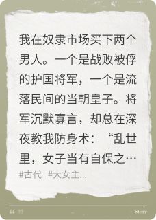 爆款小说买来的奴隶是敌国统帅在线阅读-林晚舟沈砚萧景恒免费阅读-暗夜阅读网