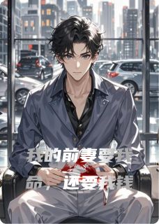 无弹窗小说我的前妻要我命,还要我钱 作者景三Yying