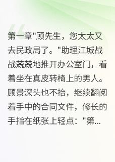 顾总，太太又去民政局申请离婚了小说百度云完整章节列表免费阅读