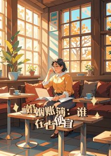 婚姻账簿：谁在占便宜？小说-林薇陈哲全篇阅读