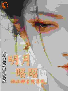 最完整版明月昭昭：她在朝堂拨算珠热门连载小说