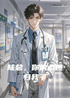 陆总，你的心跳归我了在线阅读 沈墨陆衍免费小说精彩章节